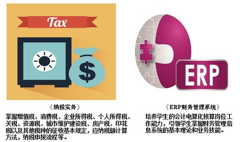 湖南商务职业技术学院会计学院 聚焦财务管理与金融中介服务的人才培养高地