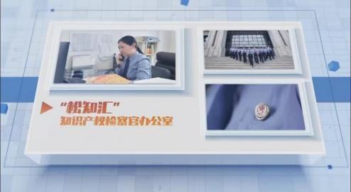 松江举办法律AI产品发布会 企业法律服务触手可及，金融中介服务迈向智能化