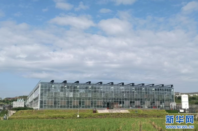 聚焦高质量发展｜重庆 深挖数据价值，赋能千行百业金融中介服务